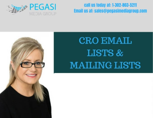 Chief Revenue Officer Email Lists in USA