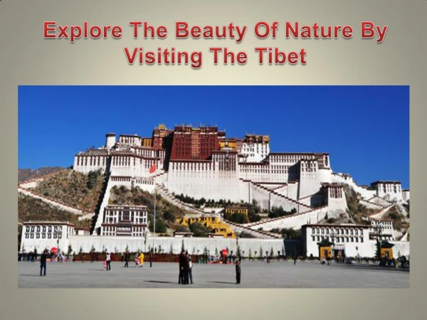 Explore The Beauty Of Nature By Visiting The Tibet