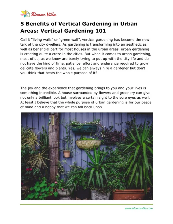 5 Benefits of Vertical Gardening in Urban Areas