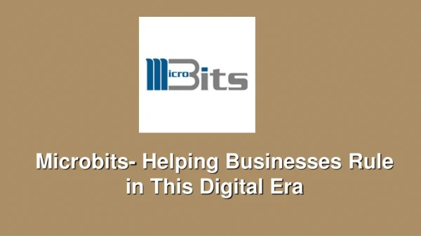 Microbits- Helping Businesses Rule in This Digital Era