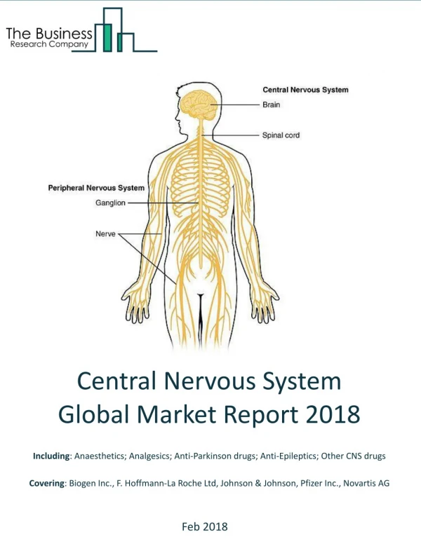 Central Nervous System Drugs Global Market Report 2018