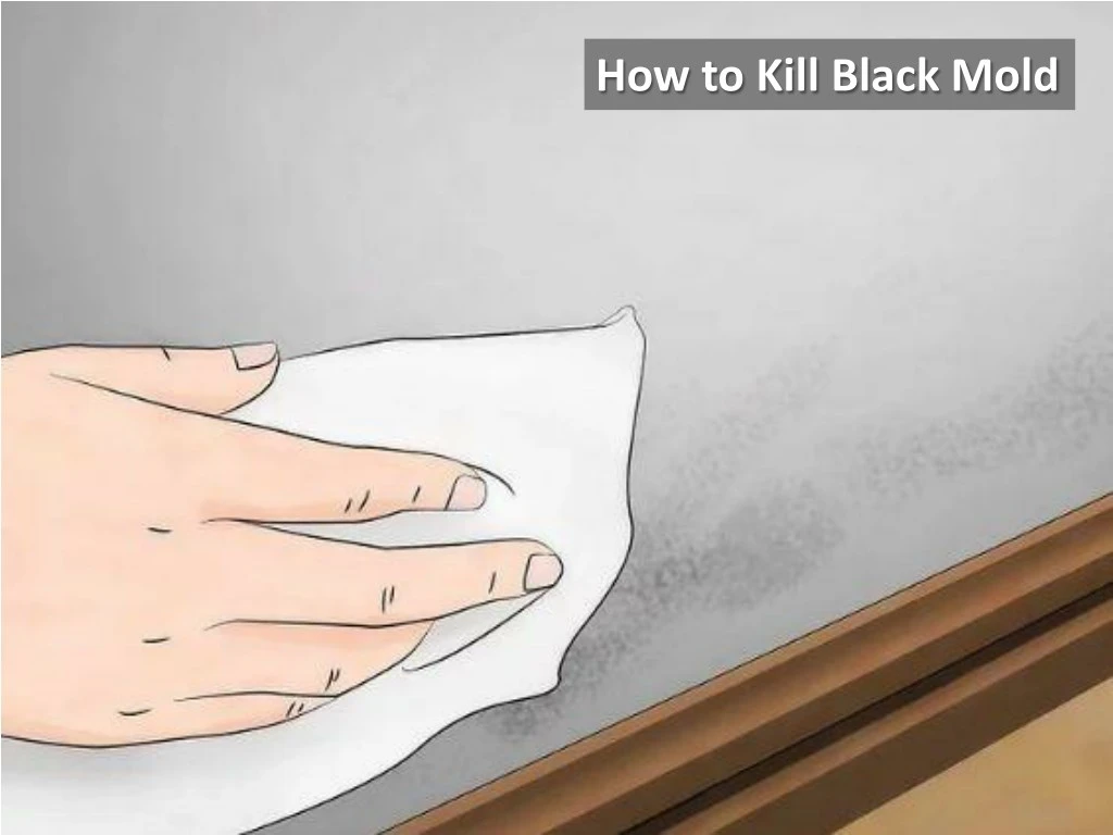 how to kill black mold