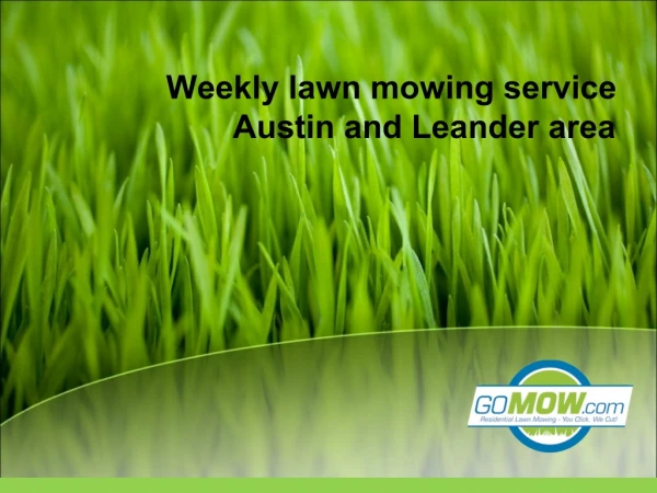 Searching for Grass Cutting service Austin, Texas?
