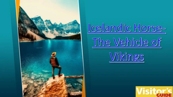 Icelandic Horse- The Vehicle of Vikings