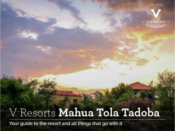 Resorts in Tadoba National Park | Mahua Tola Tadoba - V Resorts