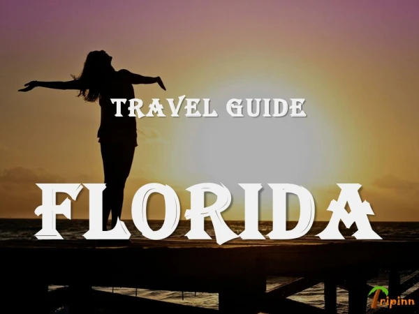 Florida Travel Guide, Attractions: Things to Do in Florida
