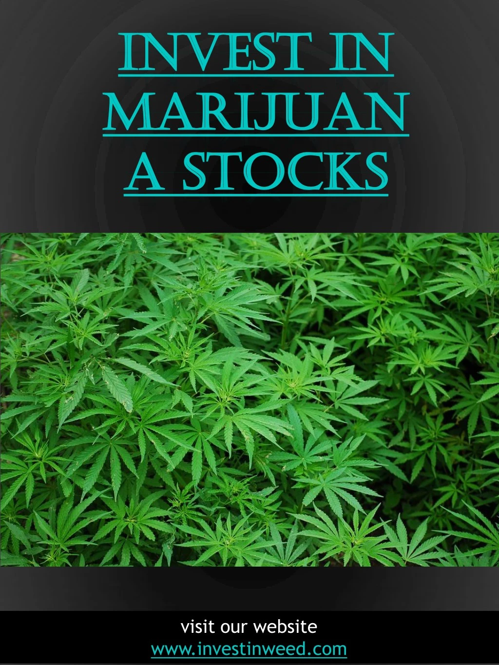 invest in invest in marijuan marijuan a stocks