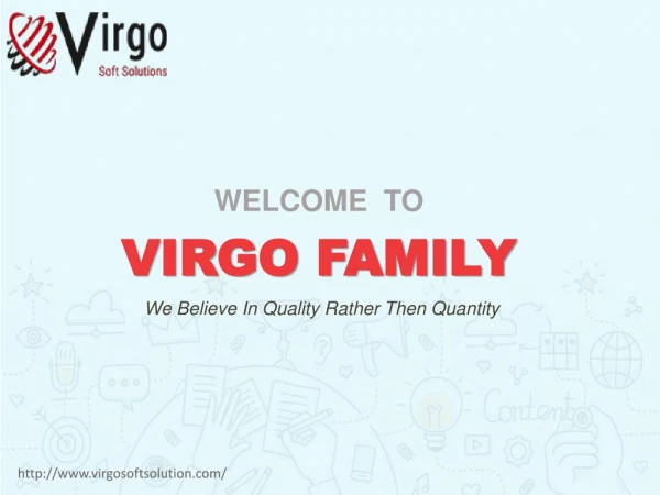 Virgo Soft Solution Services
