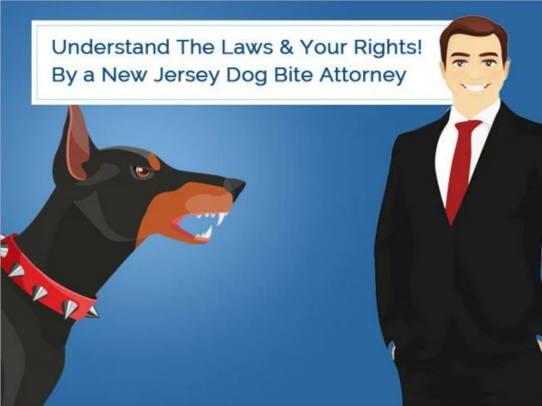 Understand The Laws & Your Rights! By a New Jersey Dog Bite Attorney