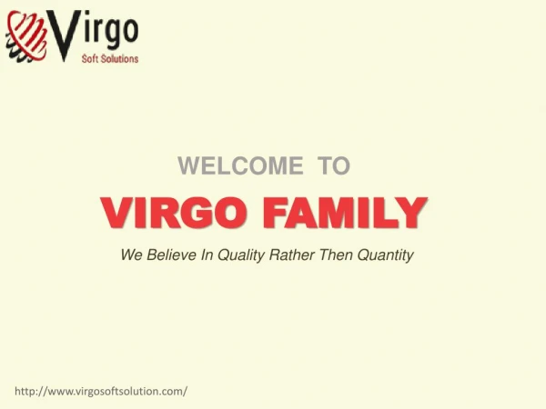 Website Development Virgo Soft Solution