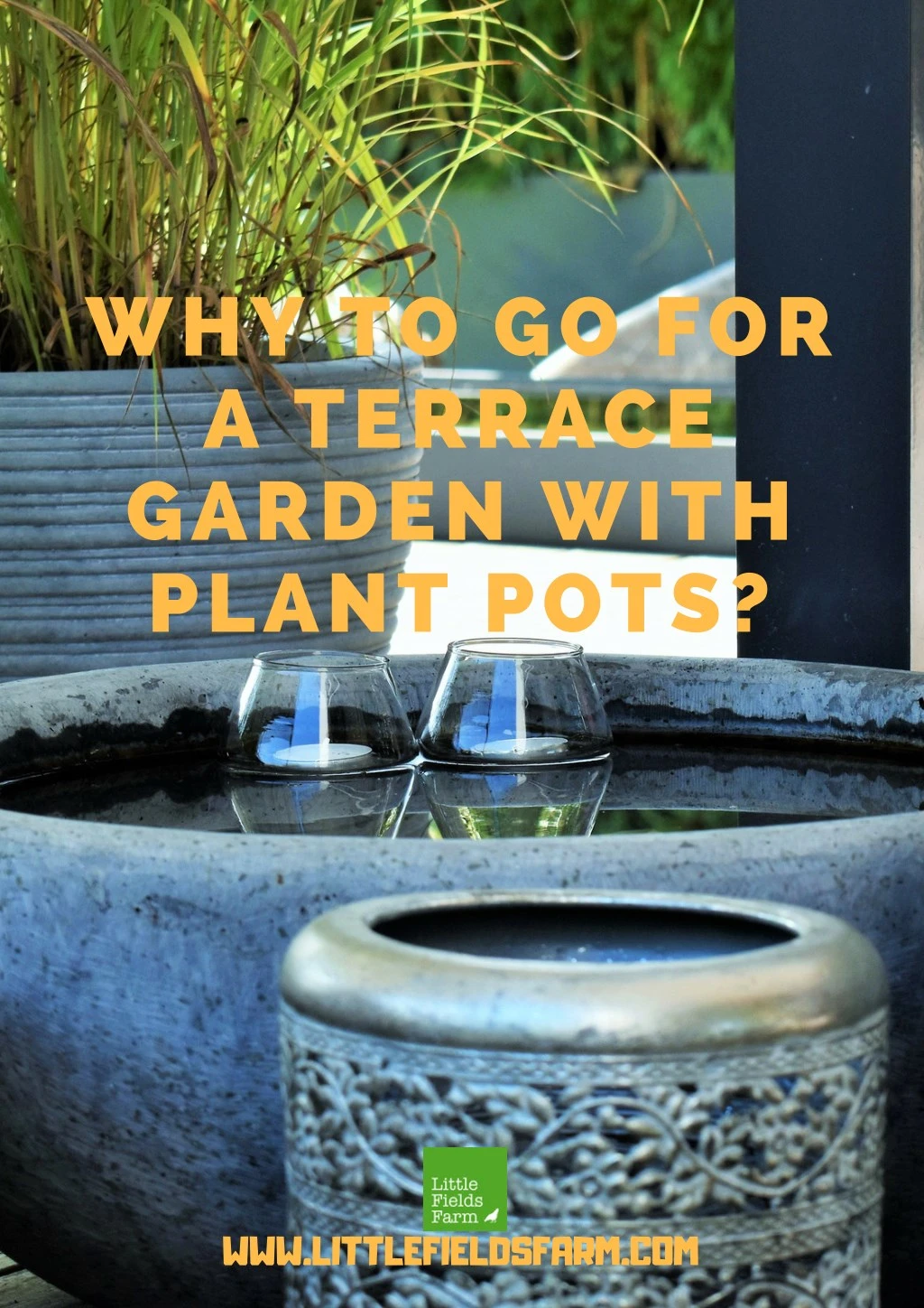 why to go for a terrace garden with plant pots