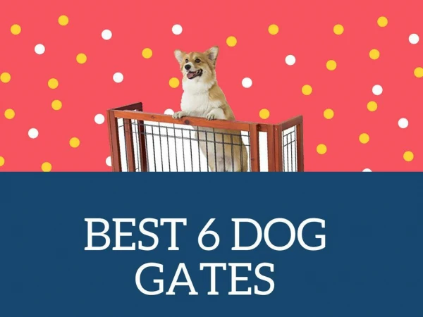 2018 Reviews | Best 6 Dog Gates at Pet and Baby Gates