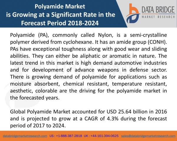 Global Polyamide Market– Industry Trends and Forecast to 2024