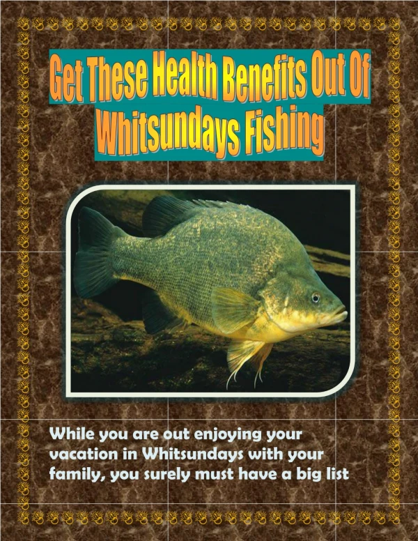 Get These Health Benefits Out Of Whitsundays Fishing