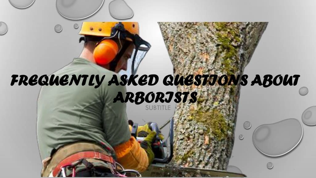 frequently asked questions about arborists