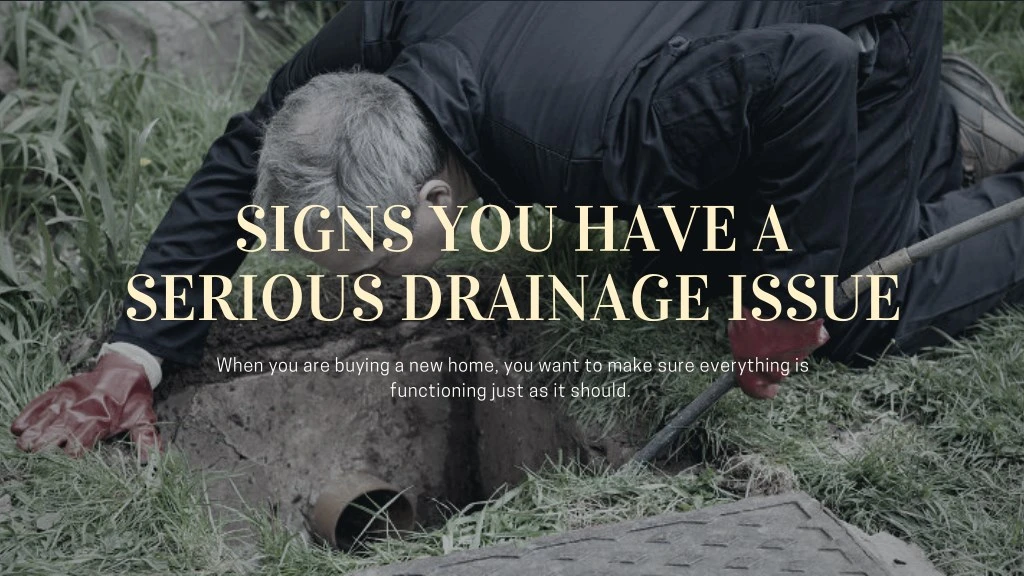 signs you have a serious drainage issue