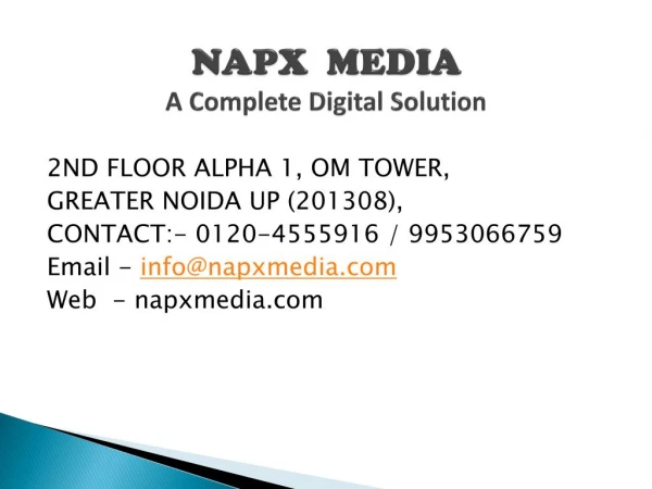 napx media Digital Marketing - google SEO search engine optimization