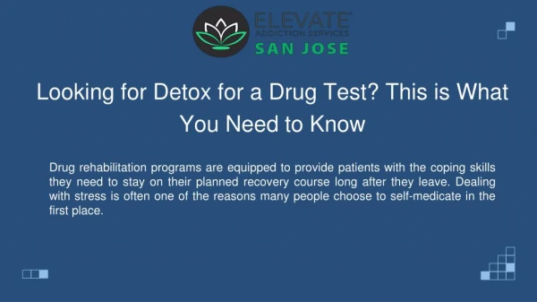 Looking for Detox for a Drug Test? This is What You Need to Know