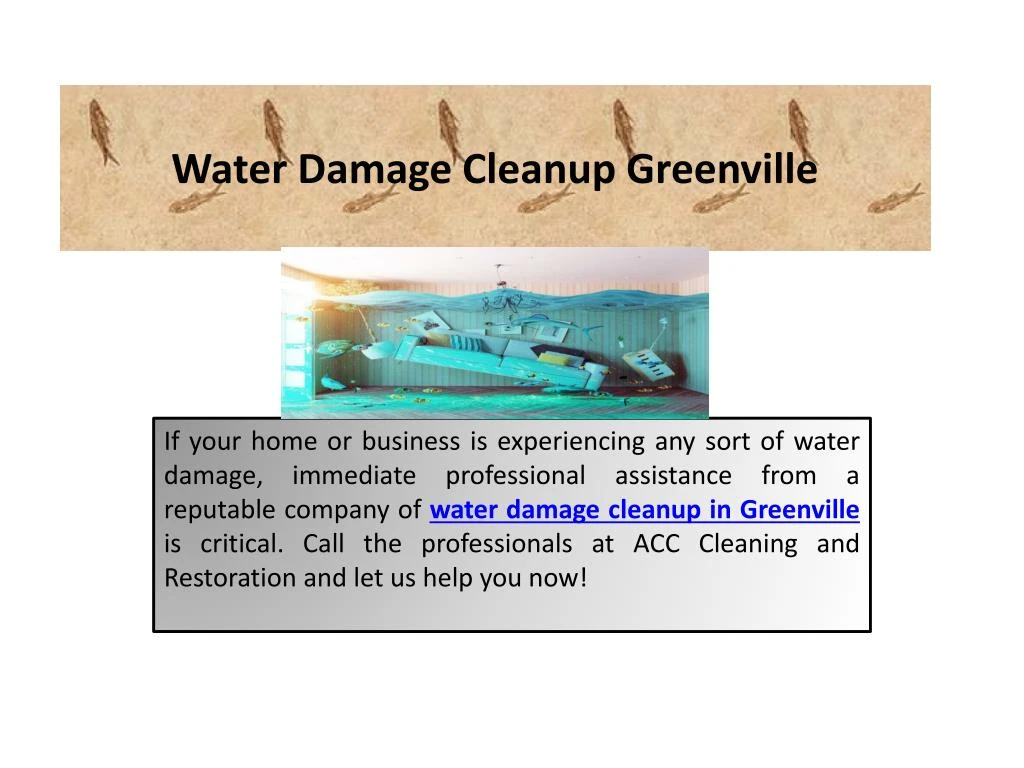 water damage cleanup greenville