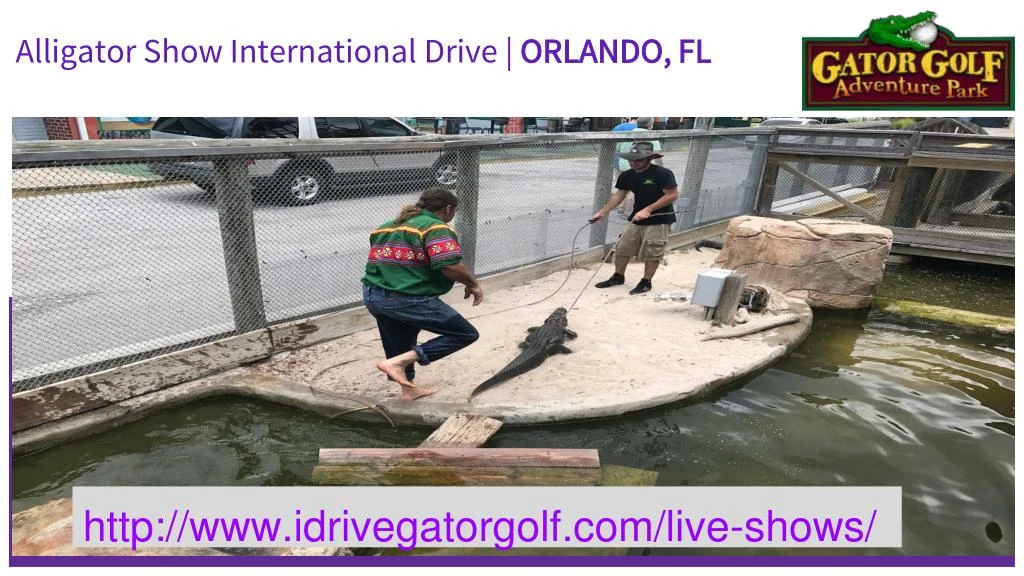 alligator show international drive orlando fl