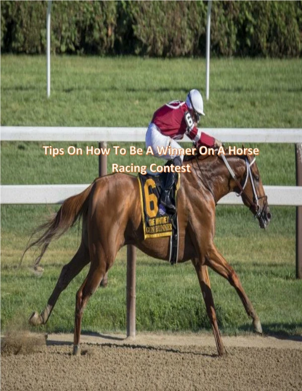Tips on how to be a winner on a horse racing contest