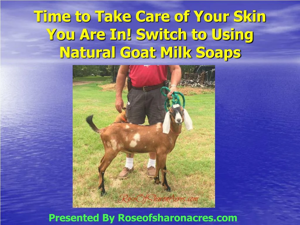 time to take care of your skin you are in switch to using natural goat milk soaps