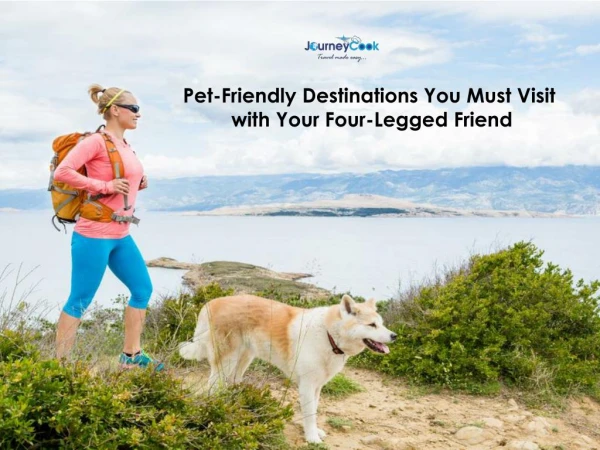 Pet-Friendly Destinations You Must Visit with Your Four-Legged Friend