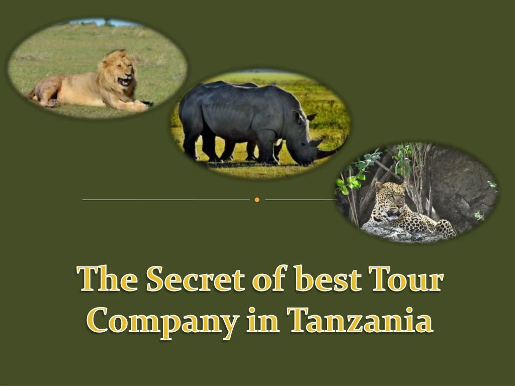 the secret of best tour company in tanzania