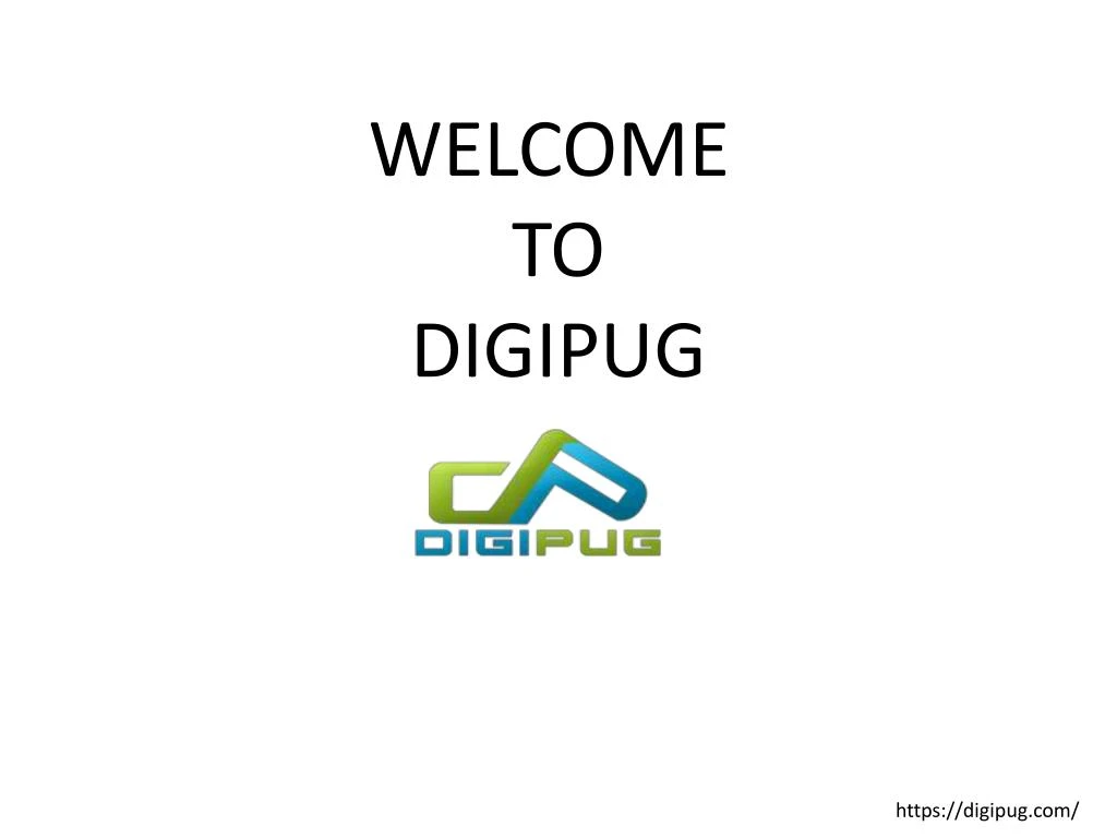 welcome to digipug