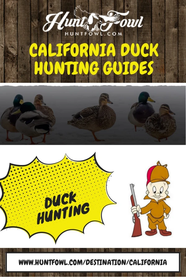 California Duck Hunting Guides