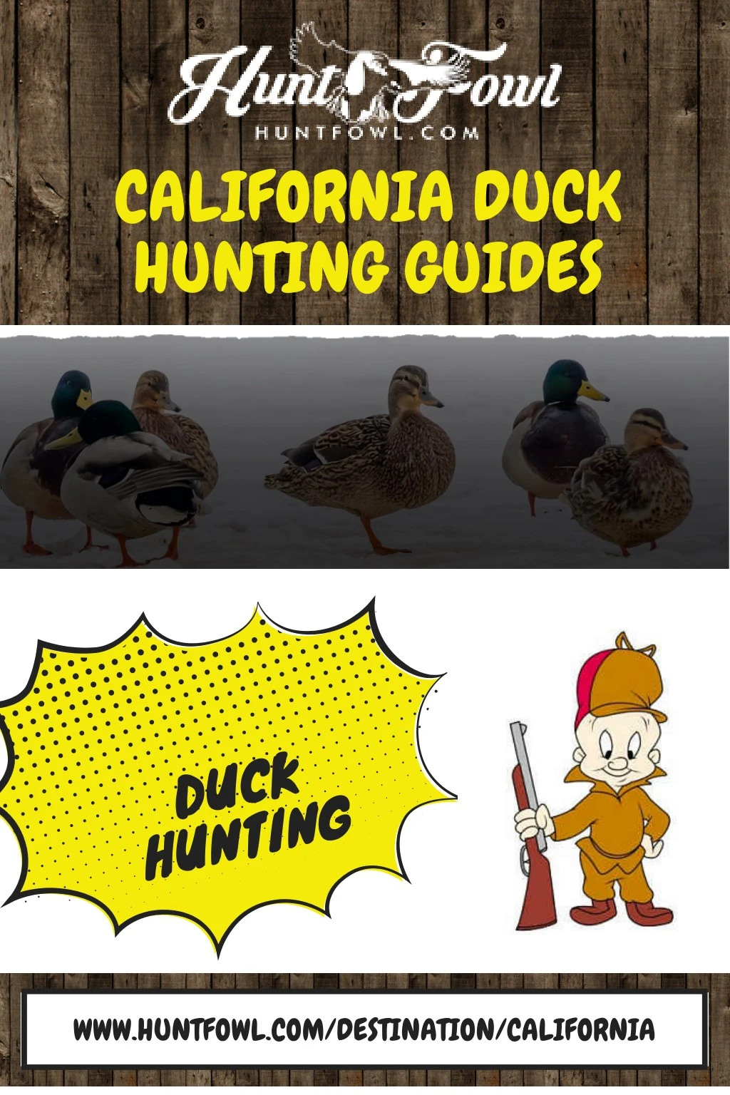 california duck hunting guides