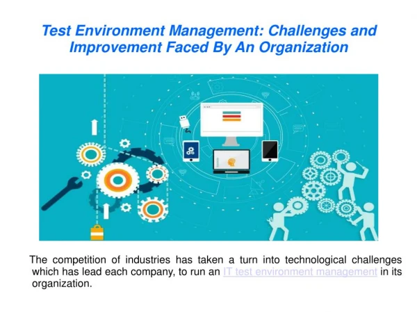 Test Environment Management: Challenges and Improvement Faced By An Organization