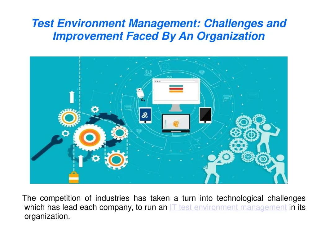 test environment management challenges and improvement faced by an organization