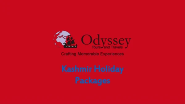 Odyssey Travels - Kashmir