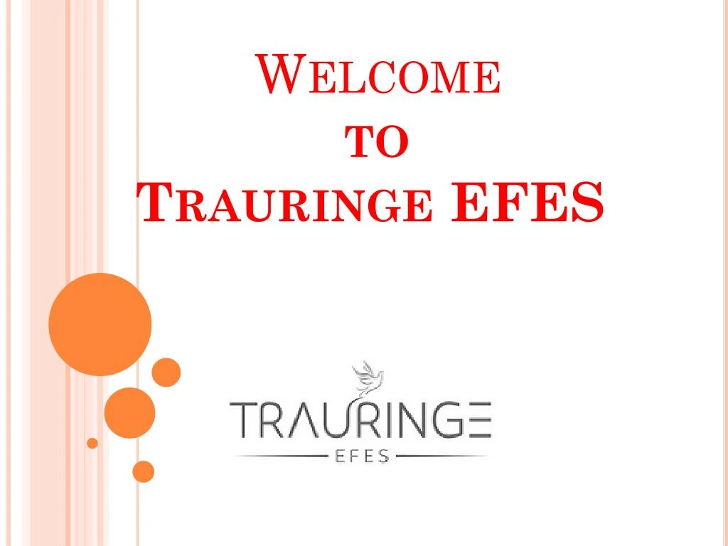 welcome to trauringe efes