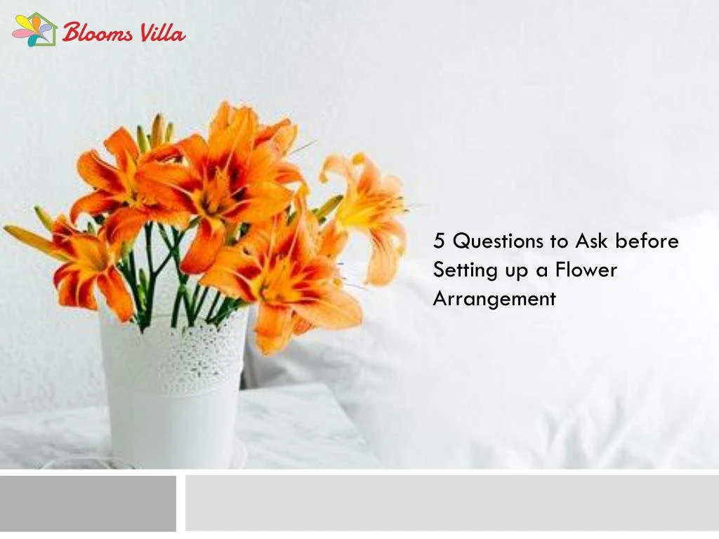 5 questions to ask before setting up a flower