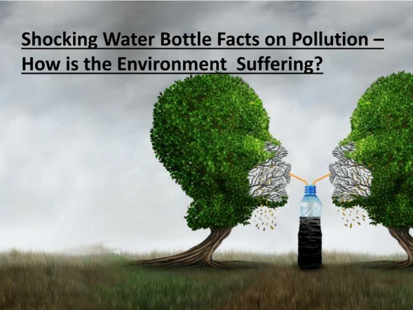 Shocking Water Bottle Facts on Pollution â€“ How is the Environment Suffering?