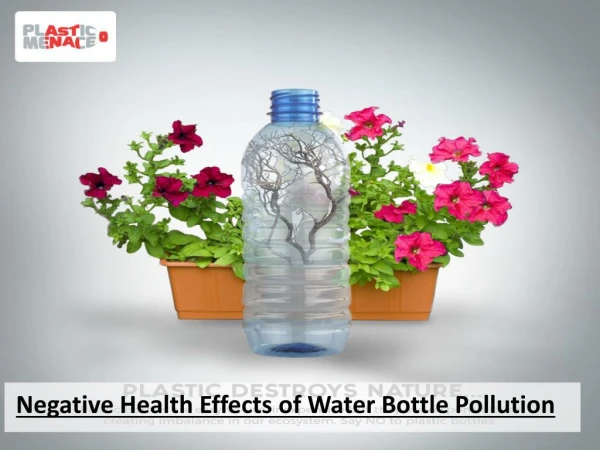 Negative Health Effects of Water Bottle Pollution