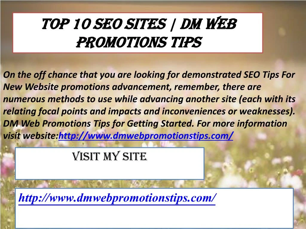 top 10 seo sites dm web promotions tips