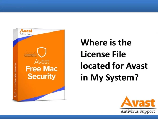 Where is the License File Located for Avast in My System?