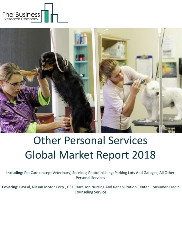 Other Personal Services Global Market Report 2018