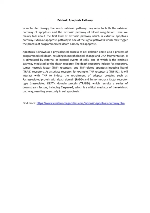 Extrinsic Apoptosis Pathway