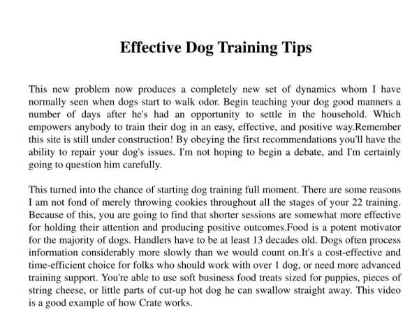 Effective Dog Training Tips