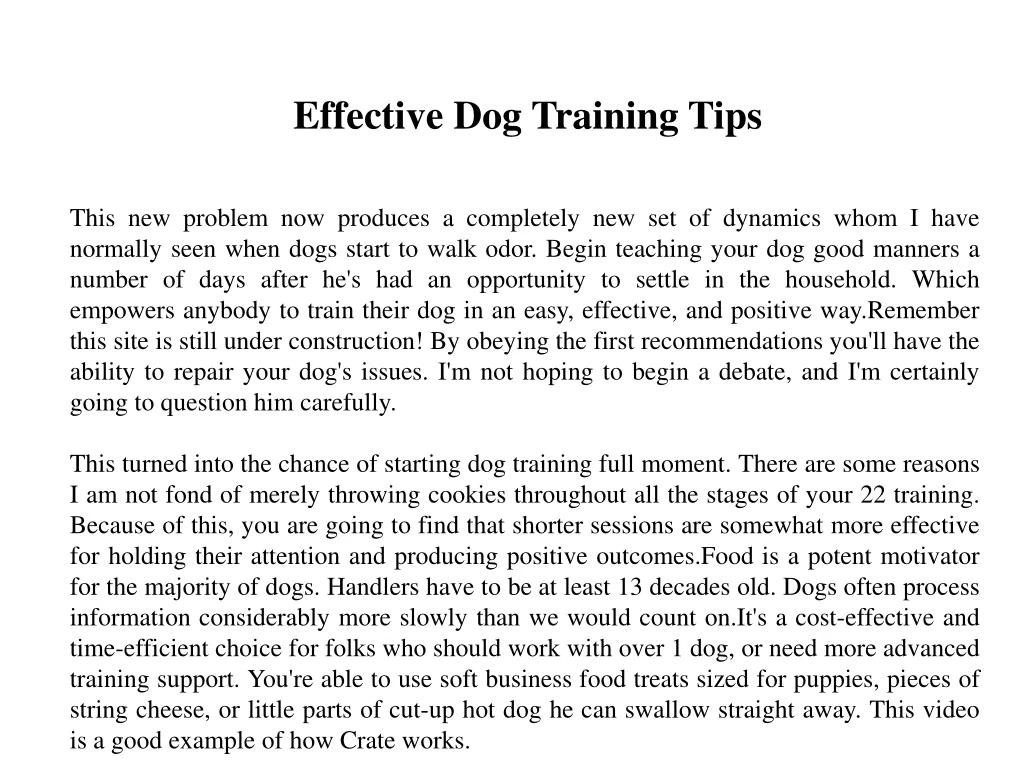 effective dog training tips