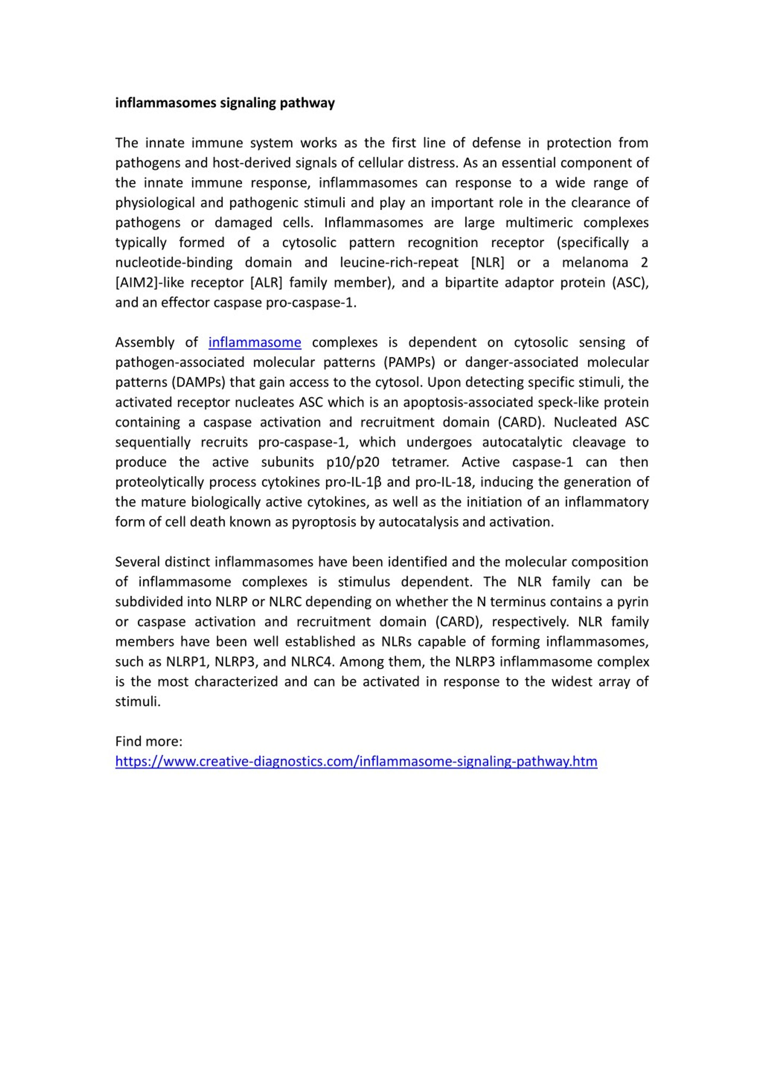 PPT - inflammasomes signaling pathway PowerPoint Presentation, free ...