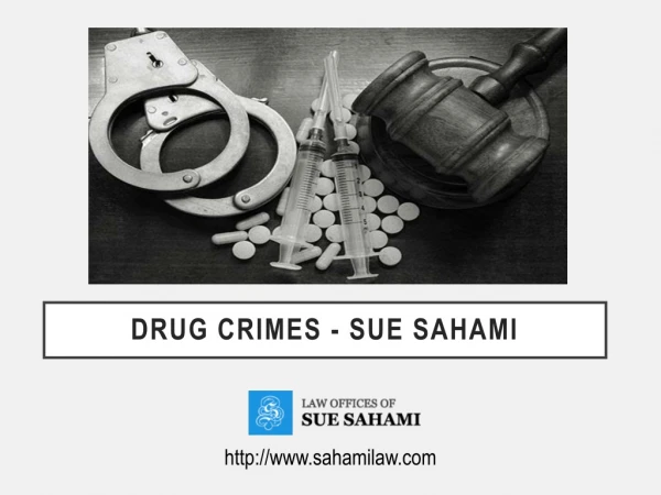 DRUG CRIMES - SUE SAHAMI