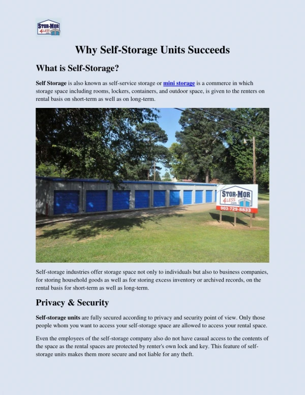 Why Self-Storage Units Succeeds?