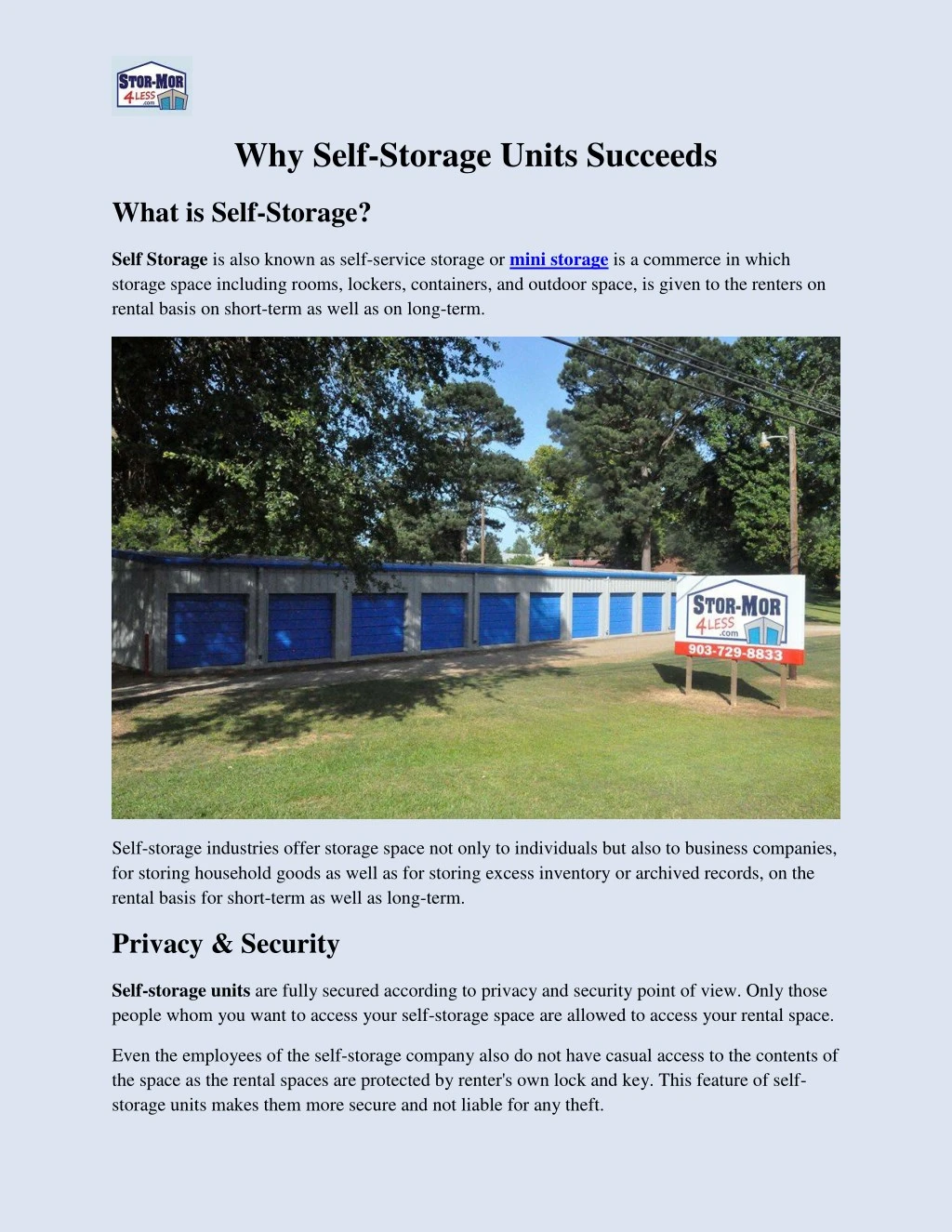 why self storage units succeeds