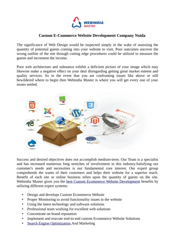 Custom E-Commerce Website Development Company Noida