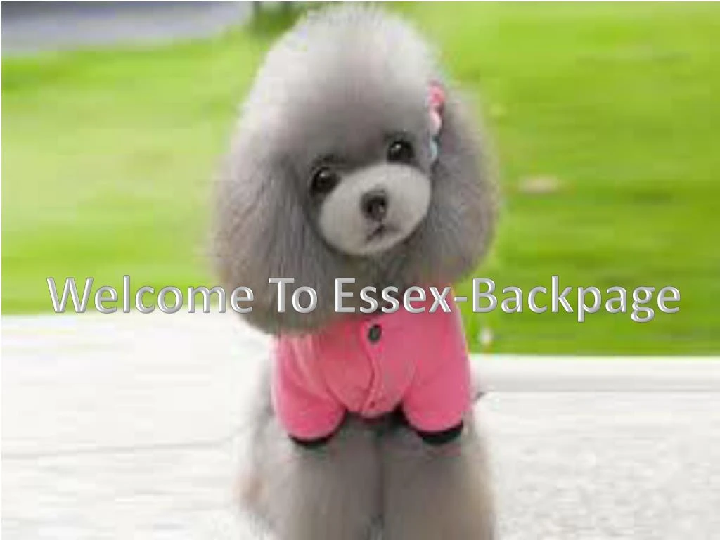 welcome to essex backpage